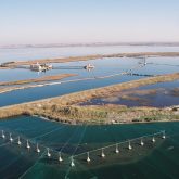 Wintering channels, Porto Lago Lagoon, N. Greece, M. Koutrakis