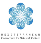 Med Consortium logo