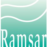 Ramsar logo
