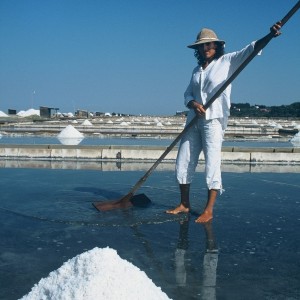 Young salter in Secovlje Salina, A. Sovinc