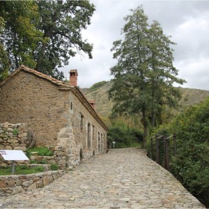 Overview of watermill in Prespa Lake_SPP Archives_E. Papadopoulou