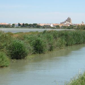 The village of Saint Maries de la Mair and its fortified church, view from the wetland, photo by J.M. Mallarach